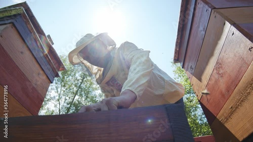 Caucasian apiarist works with beehives and removing honeycombs to examine honey production. Apiculture. Beekeeping business.
