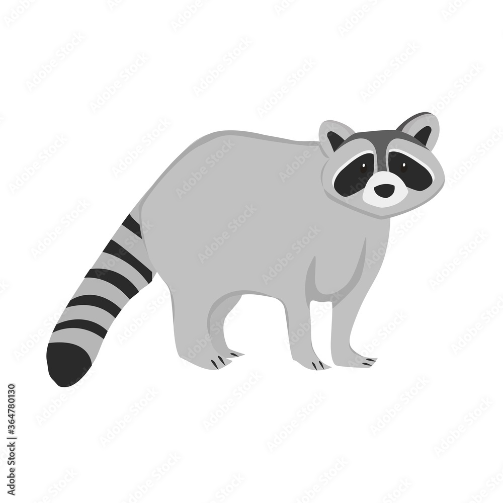Fototapeta premium Racoon Illustration