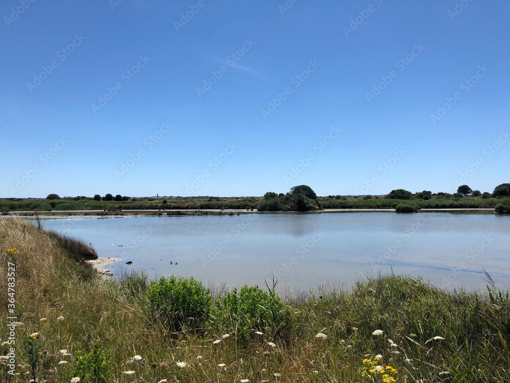 Marais salants de Guérande