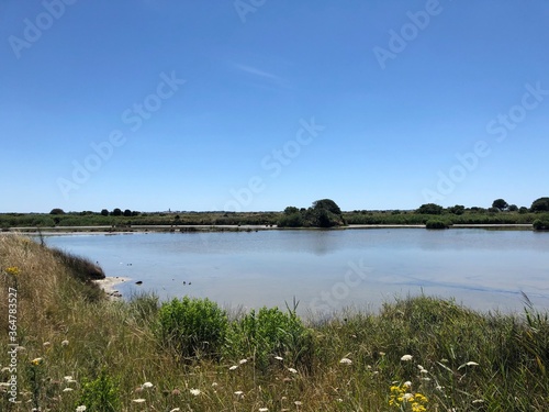 Marais salants de Guérande