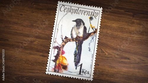 A post stamp printed in Czechoslovakia shows a Black-billed magpie bird, the series 