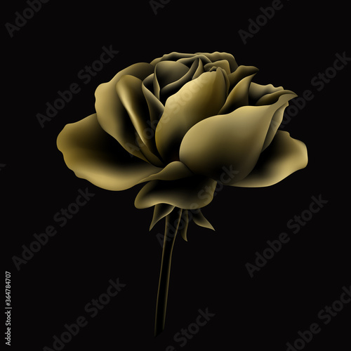 beautiful gold rose on ablack background