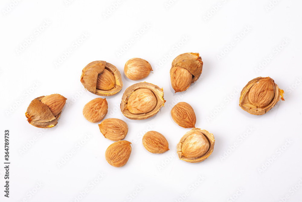 apricot kernel isolated on white background apricot kernel isolated on white background
