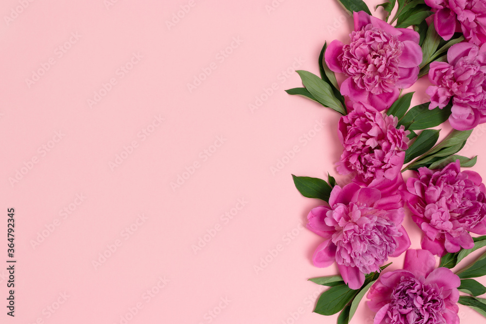 Composition made of peony flowers and green leaves on a pink pastel background. Greeting card concept with copy space.