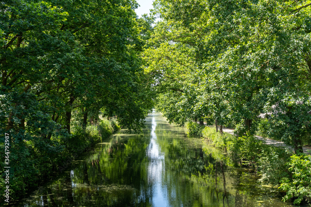 Fototapeta premium dutch landscape