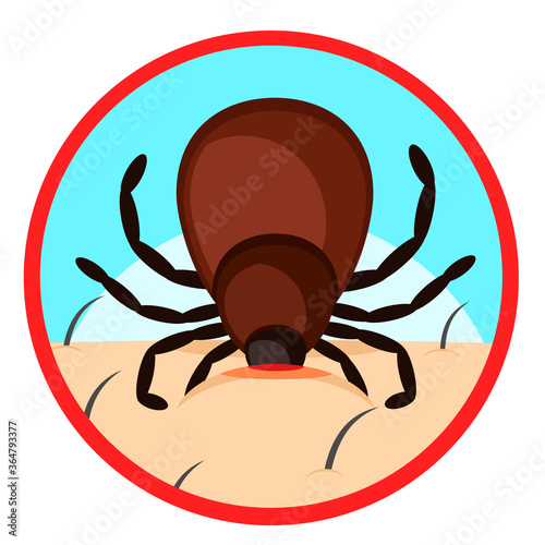 Mite bites a person's body. Warning sign