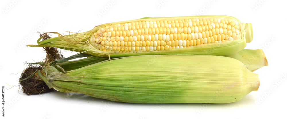 fresh corn fruits with green leaves isolated on white fresh corn fruits with green leaves isolated on white