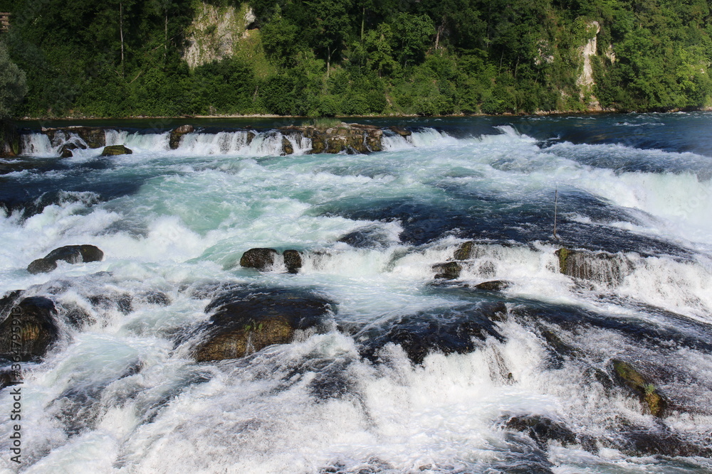 Fototapeta premium waterfall in the forest