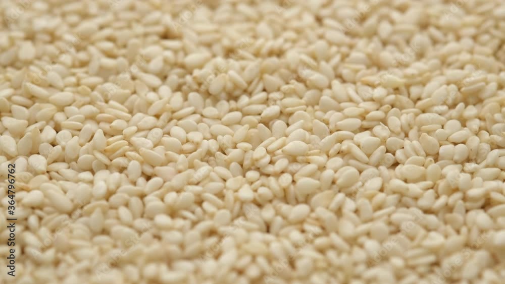 sesame seeds top view rotating sesame seeds top view rotating