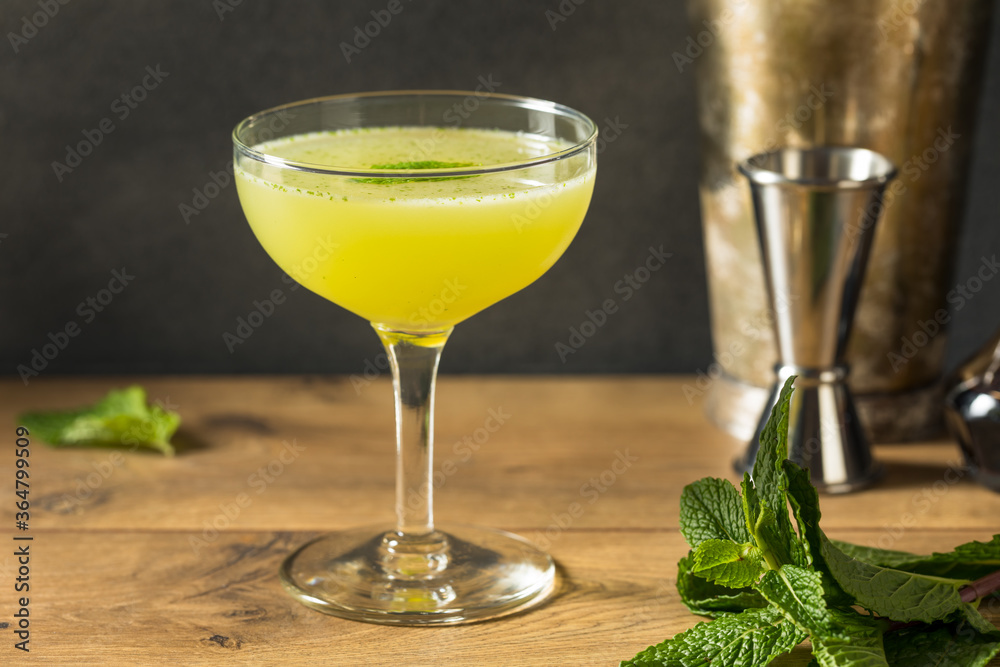 Homemade Refreshing Southside Mint Cocktail Homemade Refreshing Southside Mint Cocktail