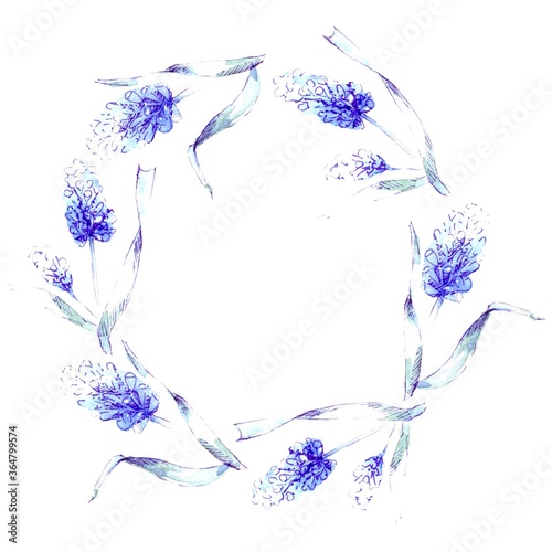 frame with watercolor muscari flowers on a white background