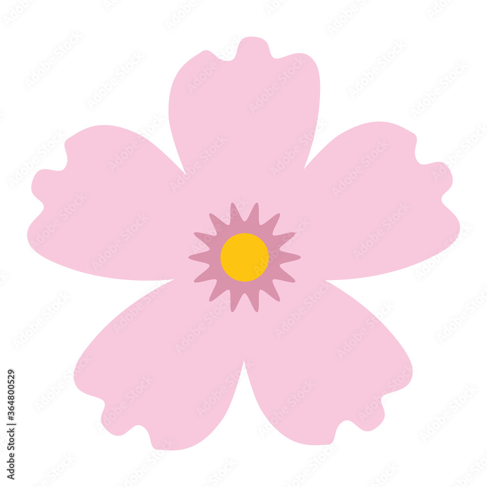 pink flower design, natural floral nature plant ornament garden decoration and botany theme Vector illustration pink flower design, natural floral nature plant ornament garden decoration and botany theme Vector illustration