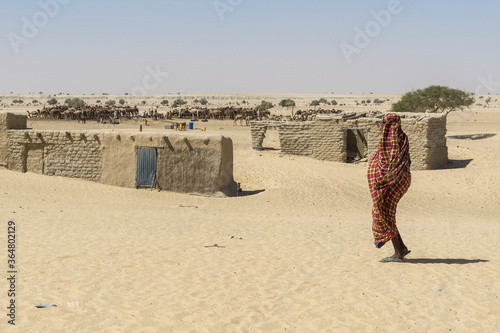 Fototapeta Naklejka Na Ścianę i Meble -  Rural life in a small village, Chad