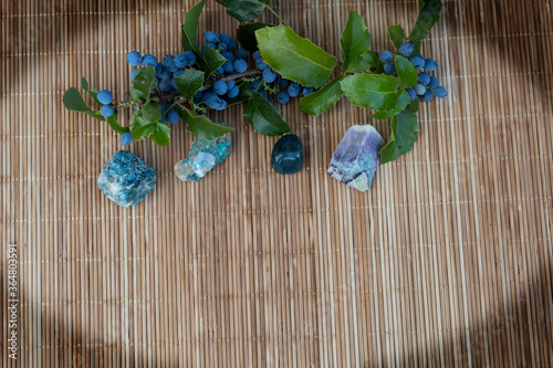 Shaded corners. On a wooden background on the side are semiprecious stones - heliotrope  malachite  fluorite  apatite. Behind them lie the branches of magonia holly with blue berries.