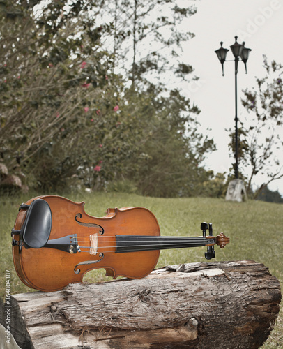 violín en naturaleza photo