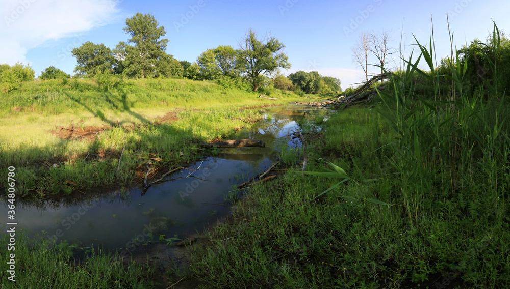 Oxbow lake in the valley of the Vistula river near Warsaw, Mazovia, Poland