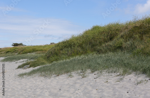 wild coast of Quiberon France