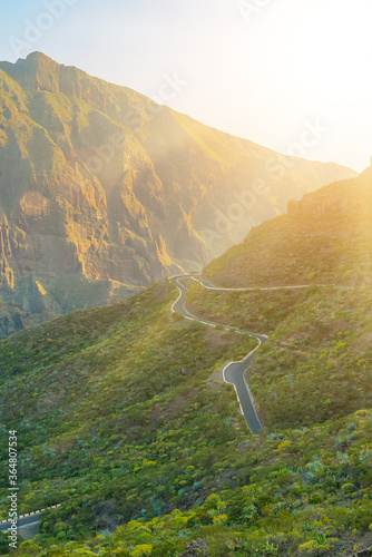 Green mountains hills and winding road near Masca village on a sunny day, Tenerife, Canarian Islands, Spain