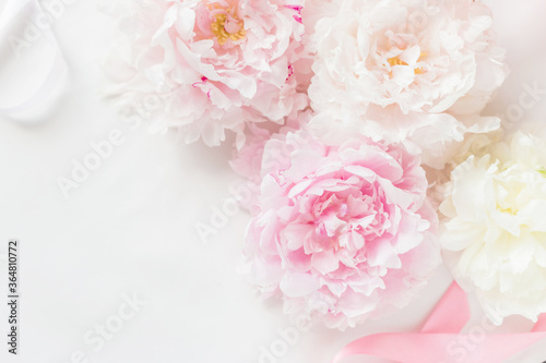Pink peony background in pastel toned
