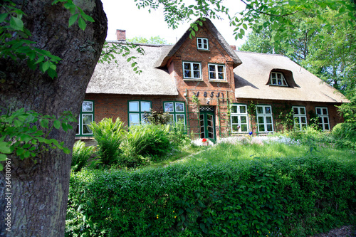 Wohnhaus, Bauernhaus, Tammensiel, Schleswig-Holstein, Deutschland, Europa photo