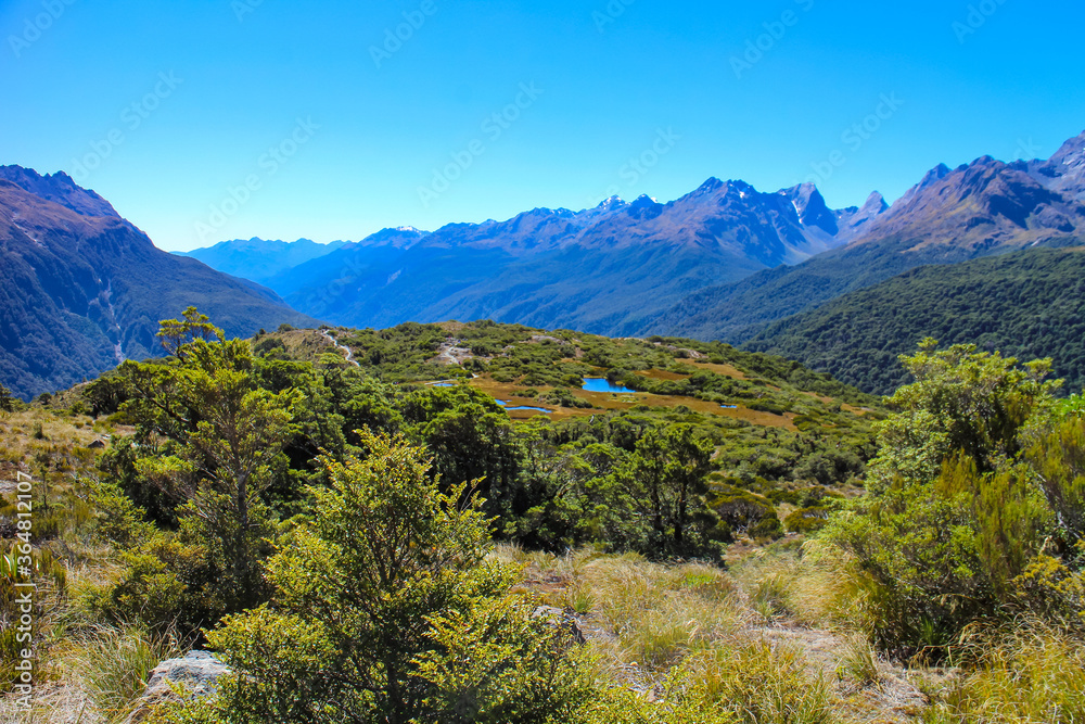 Stunning view of Hollyford Valley from the Key Summit Track section of Routeburn Track, one of the Great Tracks on New Zealand's South Island in Fiordland National Park. 