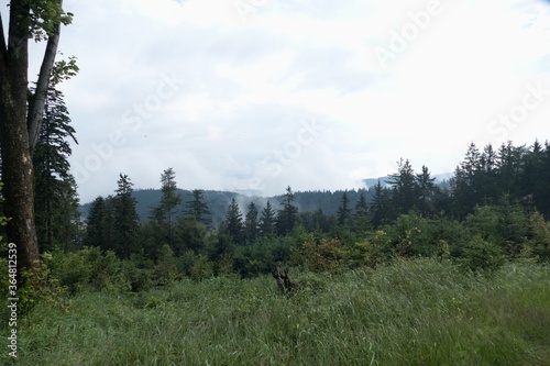 beautiful nature landscape in beskydy in eastern bohemia