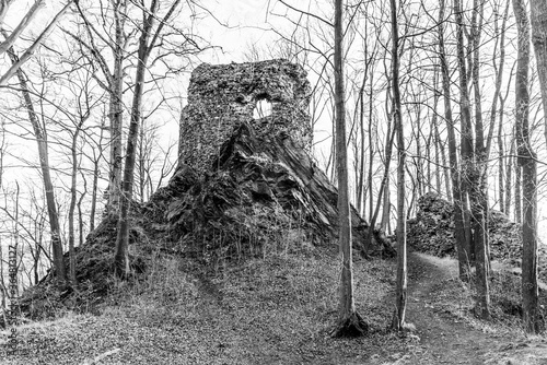 Hamrstejn Castle Ruins near Liberec, Czech Republic photo