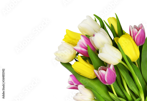 Colorful tulip flowers in a corner on white background