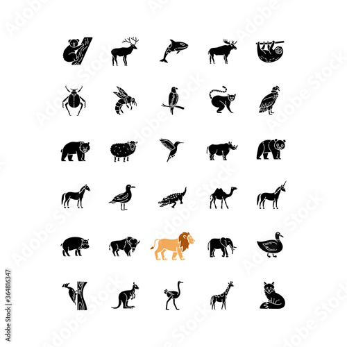 Wildlife black glyph icons set on white space. Ordinary animals and tropical wild life silhouette symbols. Different nature inhabitants, birds, mammals and sea life. Vector isolated illustrations