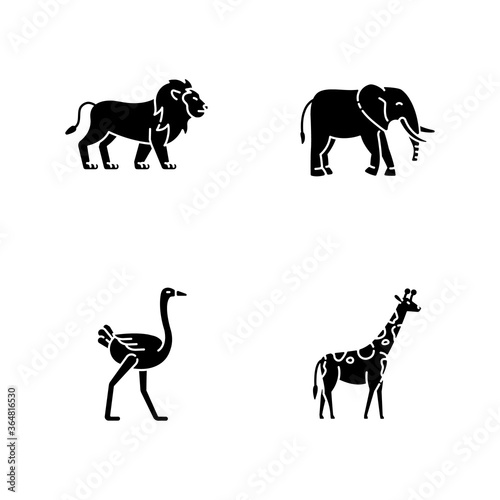 African wildlife black glyph icons set on white space. Exotic fauna  tropical predator and herbivore animals silhouette symbols. Lion  elephant  giraffe and ostrich. Vector isolated illustrations