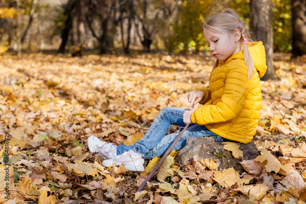 Children hiking in the forest. Girls exploring nature in the woods on  autumn day, sitting on rock and playing with stick and leaves Outdoor recreation and family awesome adventures with kids in fall