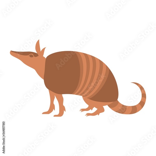 Orange armadillo on a white background, cute exotic animal