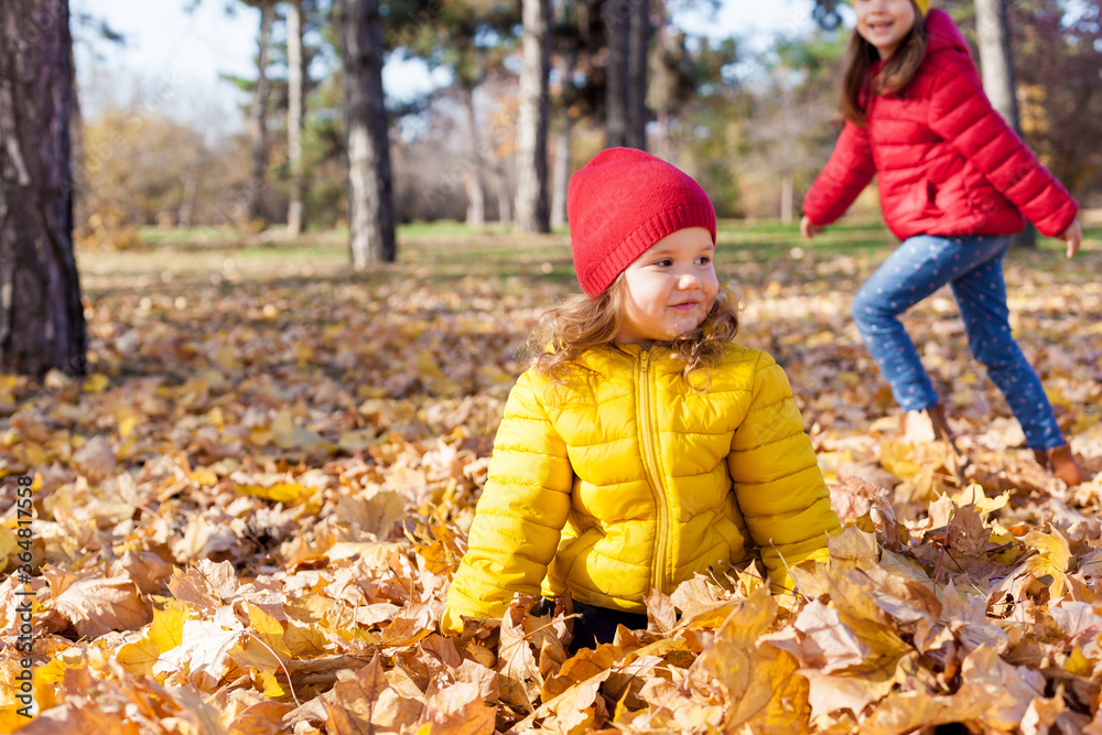 Children two cute toddler girls having fun with yellow leaves on sunny warm day in autumn, kids throw leaves, young friends play activity fall concept outdoors. Children two cute toddler girls having fun with yellow leaves on sunny warm day in autumn, kids throw leaves, young friends play activity fall concept outdoors.