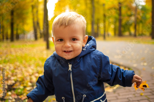 Toddler baby laughs and looks at the camera in an autumn park with yellow leaves