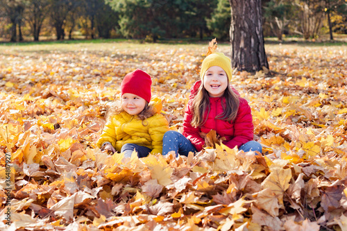 Children two cute toddler girls having fun with yellow leaves on sunny warm day in autumn, kids throw leaves, young friends play activity fall concept outdoors.