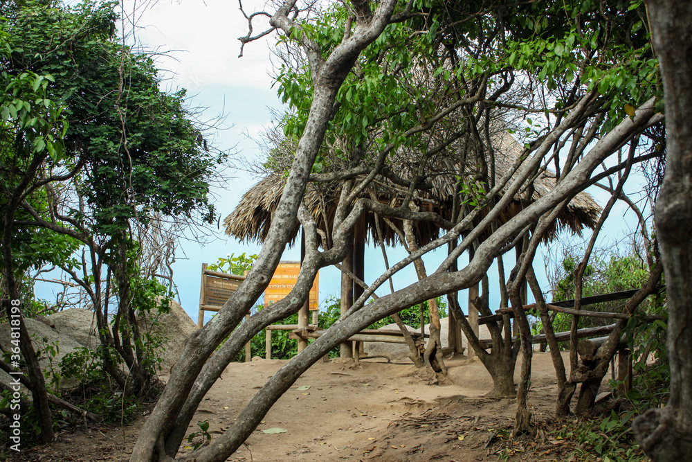 Caribbean sea with white sand beach surrounded by tropical forest in Tayrona National Park in Cabo San Juan del Guia, Colombia.