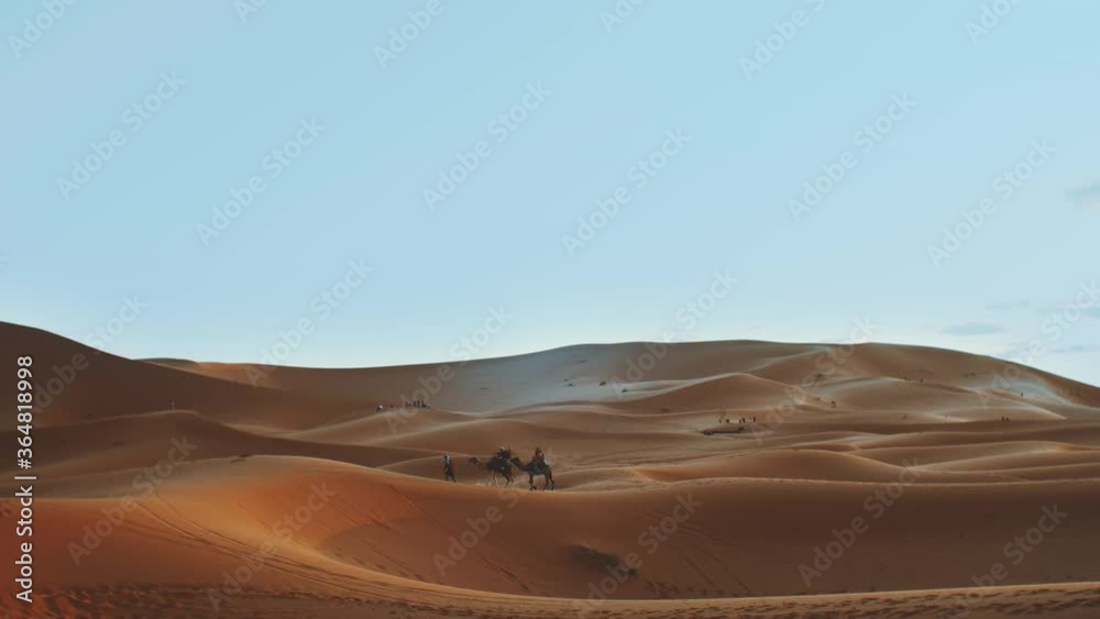 Moroccan bedouin with camels silhouettes in sand dunes of Sahara desert. Caravan in Sahara desert travel tourism background safari adventure. Sahara desert of Morocco, 4k