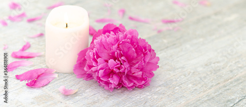 Beautiful pink peony flowers and white candle on light grey stone background with copy space for your text top view. Greeting card, SPA and romantic concept. Banner.