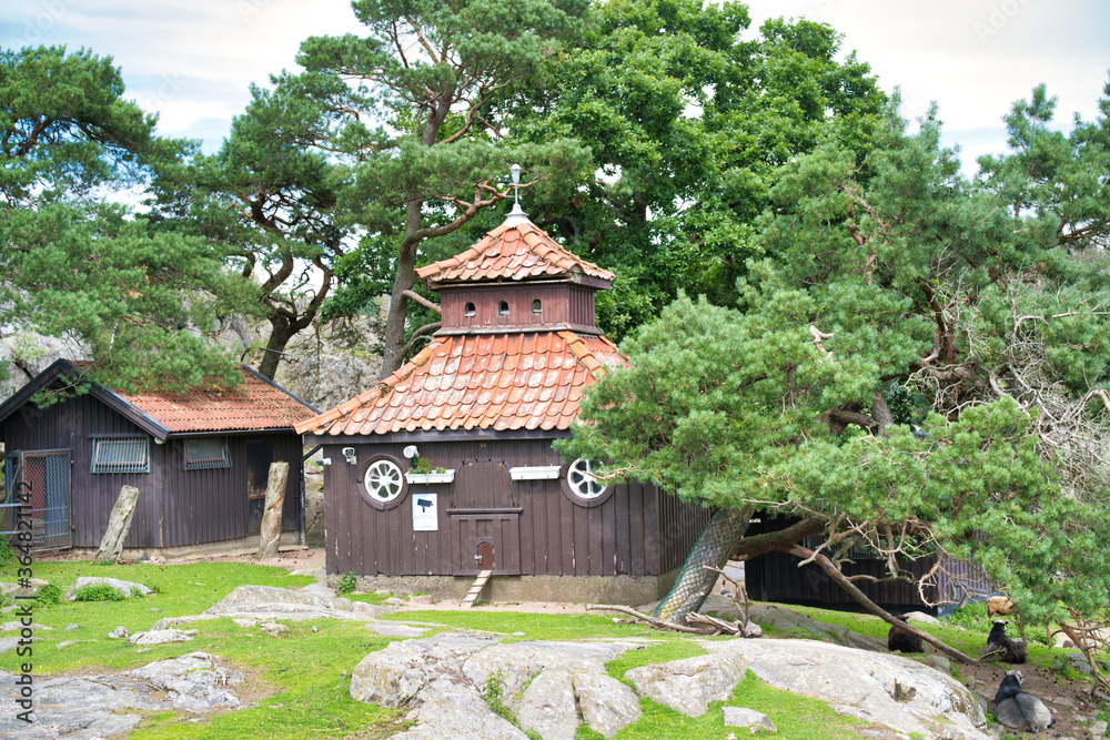 羊たちと小さな小屋 羊たちと小さな小屋