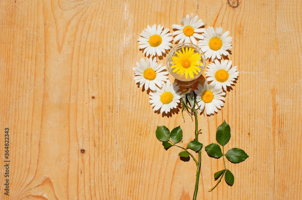 Obraz premium daisies flowers on wooden background copy space