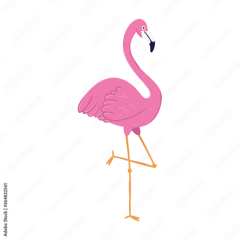 flamingo tropical animal on white background vector illustration design