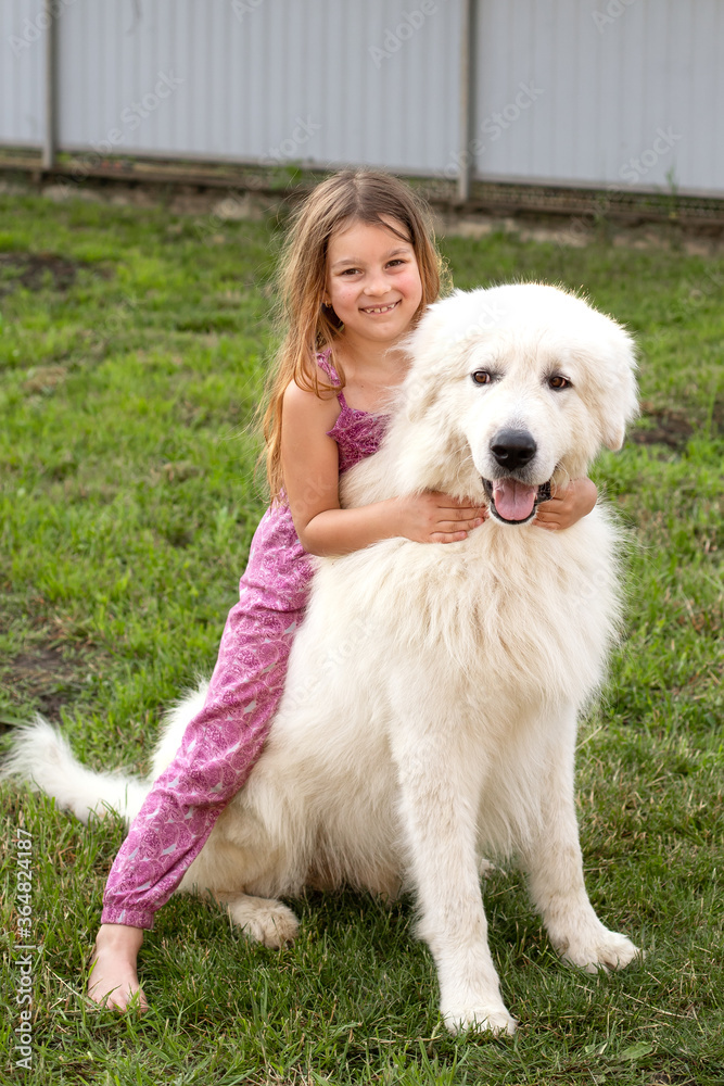 a sweet smiling girl of seven with her friend a Maremma dog on a green lawn a sweet smiling girl of seven with her friend a Maremma dog on a green lawn