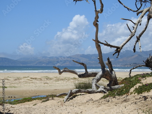 Central Coast Beach view