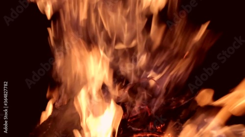 Fire flames of burning bonfire in summer night. A man adds dried twigs on the fire
