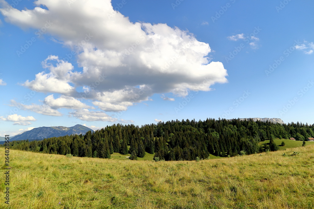 Nature paisible Nature paisible