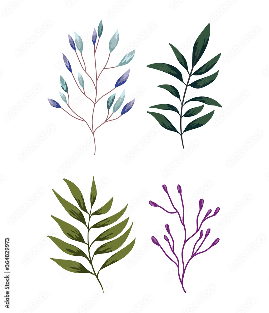 Fototapeta premium branches foliage vegetation greenery nature design