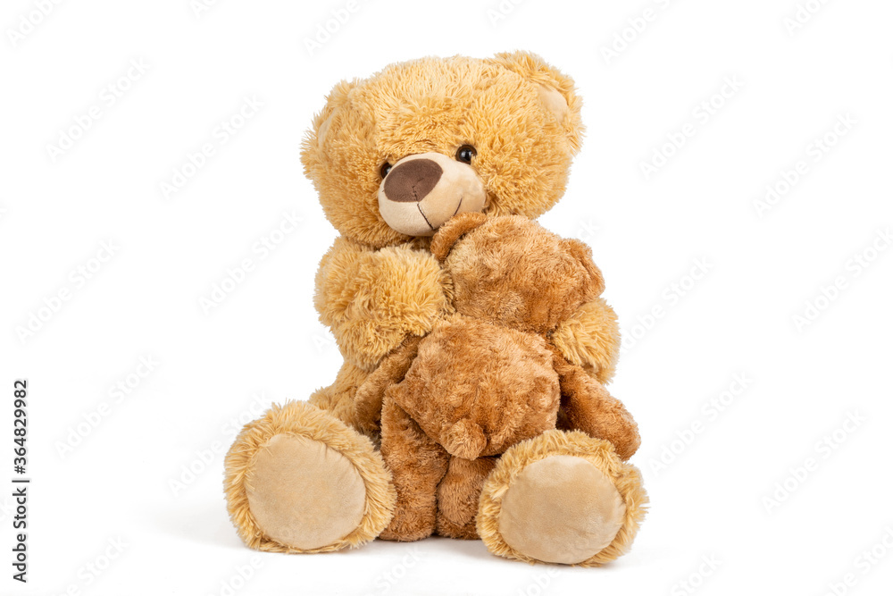 Teddy bear with little bear on white background. Teddy bear with little bear on white background.