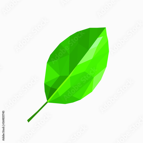 green polygonal leaf of a cherry tree on a white background