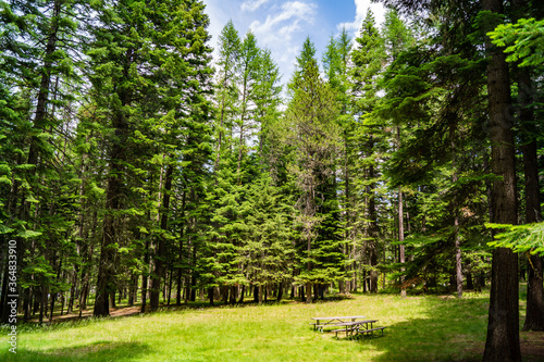 Picnic area in a meadow within Wallowa Lake State Park in Oregon, USA