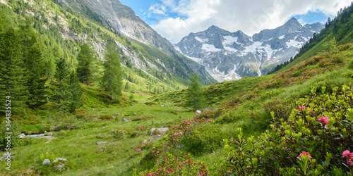 Panorama einer wunderbaren Berglandschaft mit Alpenrosen und Gletscher in Österreich
